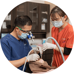 患者様の気持ちを考え、痛みや不安に配慮した治療